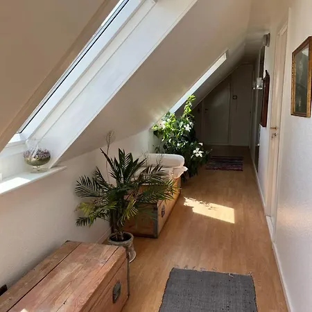 בית אירוח Munkebo B&b, Thy טהיסטד